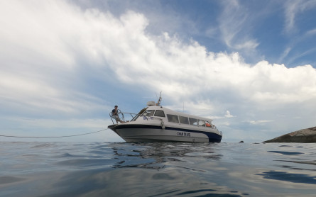 How Do I Get From Hoi An To Cham Island?