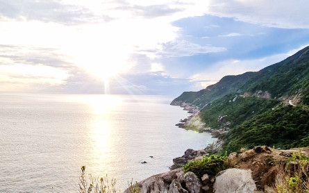 What Date Should You Go To Cham Island Da Nang?
