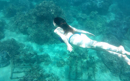 Where should to snorkling at Cham Island?