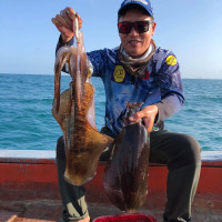 Câu Mực Cù Lao Chàm