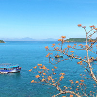 Tour Cù Lao Chàm Chàm 2 Ngày