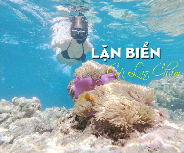 Tour Cù Lao Chàm 1 Ngày