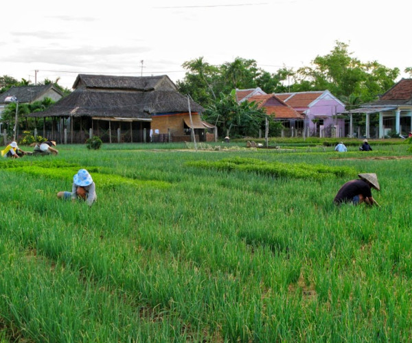 Tourhoian1ngay